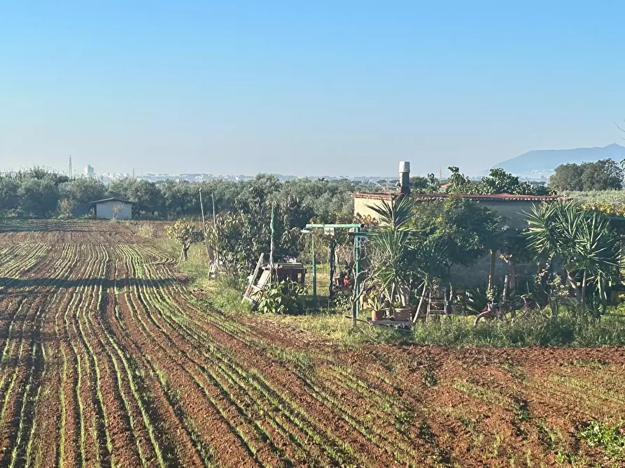 Immagine 4 di Terreno agricolo in vendita  a Terracina