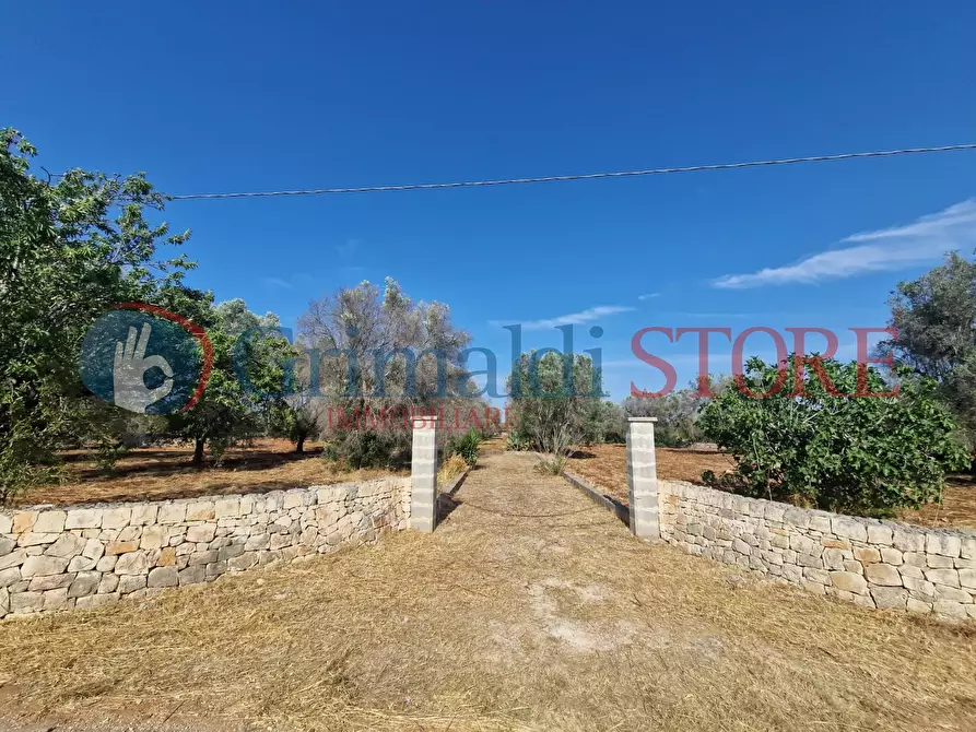 Immagine 1 di Terreno agricolo in vendita  a Latiano