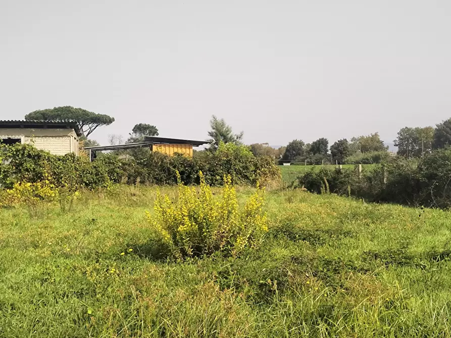 Immagine 7 di Terreno agricolo in vendita  in Via Lago di Sirino a Nettuno