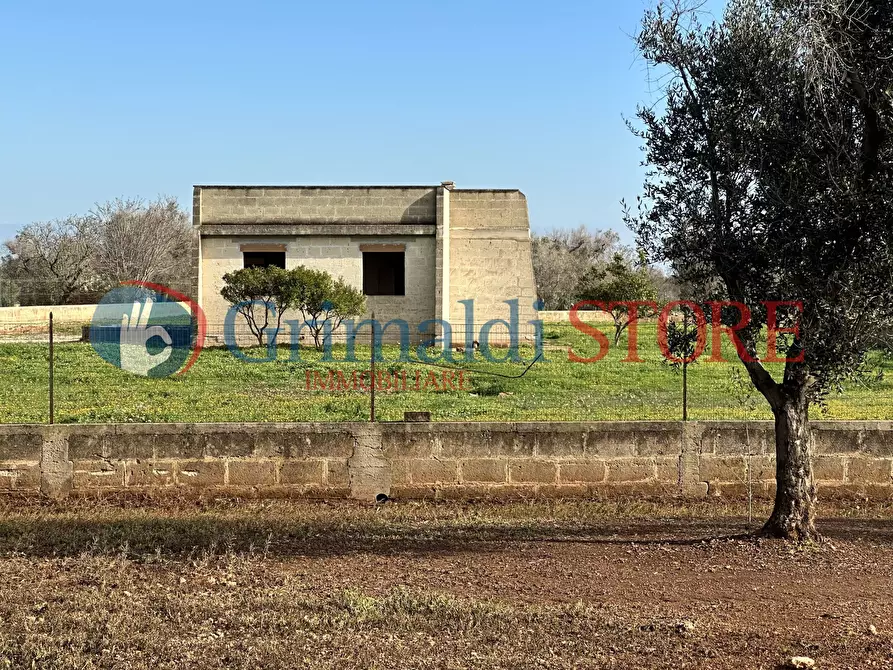 Immagine 3 di Rustico / casale in vendita  a San Vito Dei Normanni