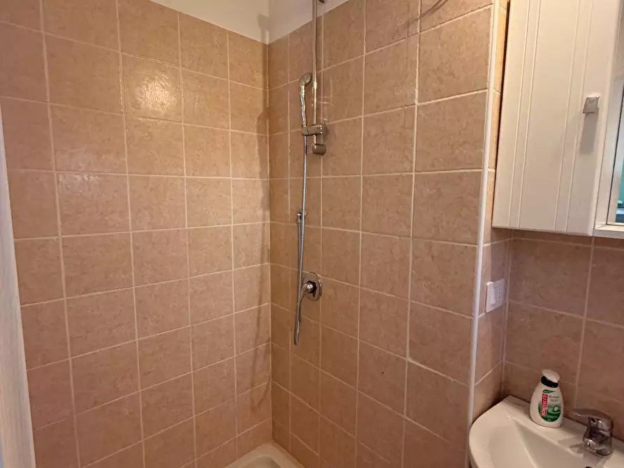 Immagine 10 di Monolocale in affitto  in Via Andrea Sacchi 54 a Nettuno