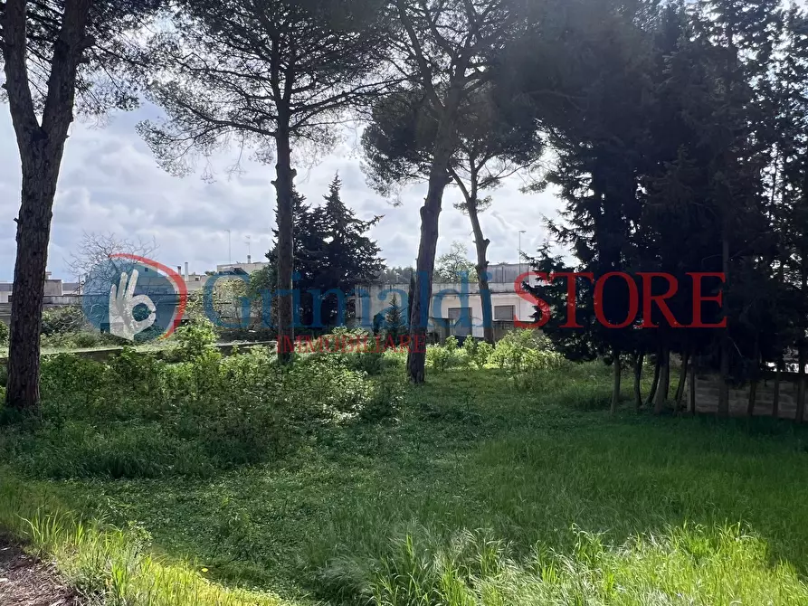 Immagine 16 di Villa in vendita  in Via Santa Maria di Leuca 1 a Ruffano