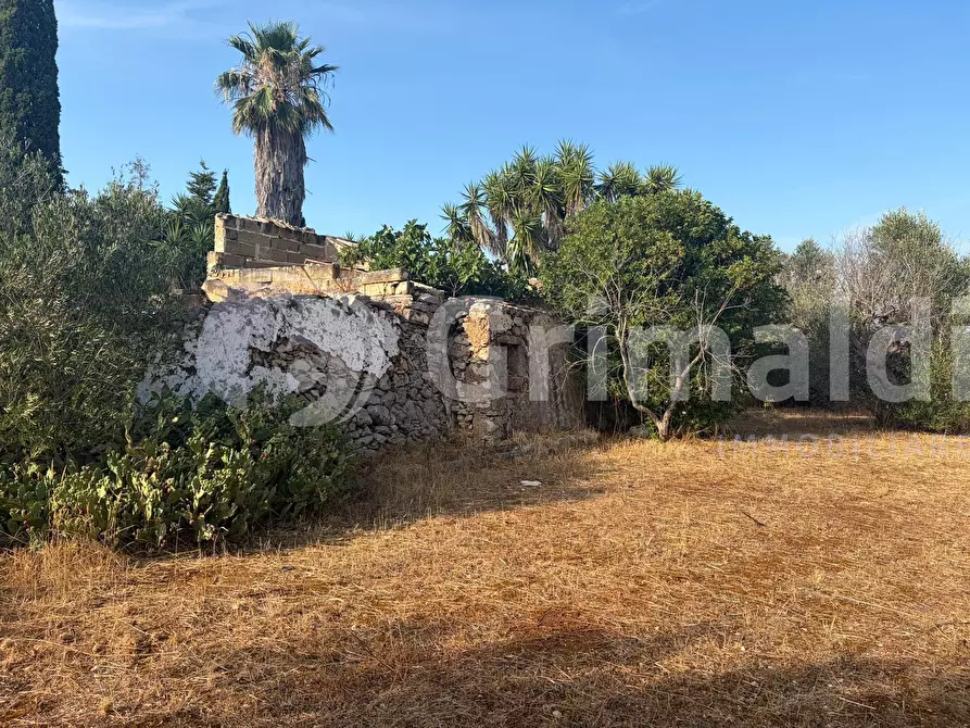 Immagine 16 di Terreno agricolo in vendita  in Contrada Coline a Alezio
