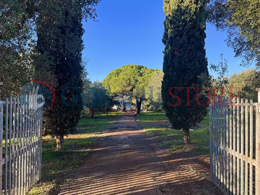 Immagine 4 di Rustico / casale in vendita  a San Vito Dei Normanni