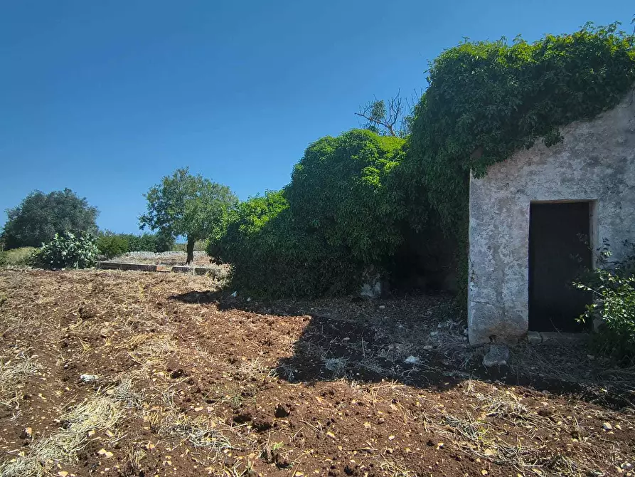 Immagine 8 di Rustico / casale in vendita  in Contrada Marinesca a Polignano A Mare
