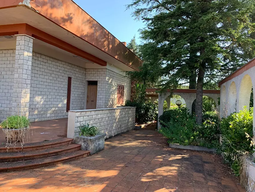 Immagine 14 di Villa in vendita  in Contrada Gorgofreddo a Monopoli