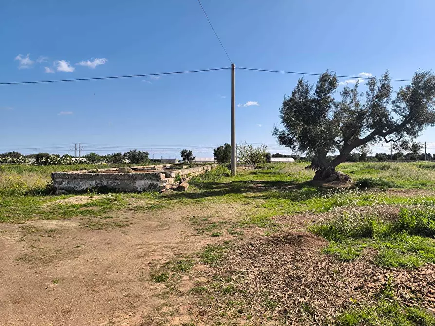 Immagine 39 di Villa in vendita  in Viale Aldo Moro a Monopoli