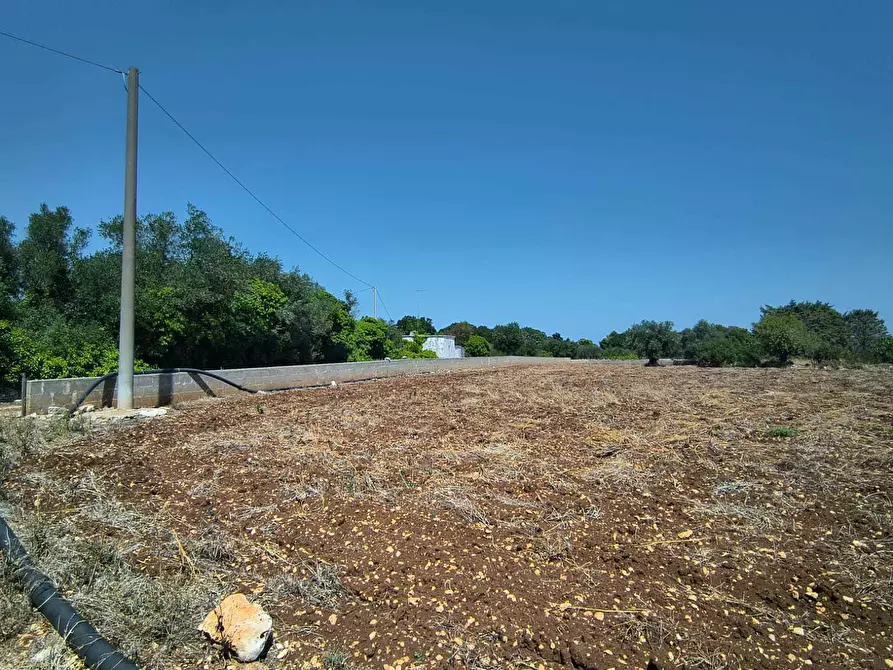 Immagine 9 di Rustico / casale in vendita  in Contrada Marinesca a Polignano A Mare