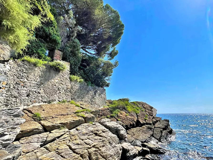 Immagine 6 di Casa indipendente in vendita  a Recco