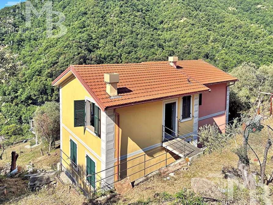 Immagine 5 di Casa indipendente in vendita  in Via Posato 19 a Avegno