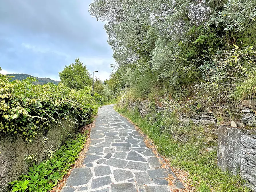 Immagine 29 di Casa indipendente in vendita  in Via Cappelletta 37 a Avegno