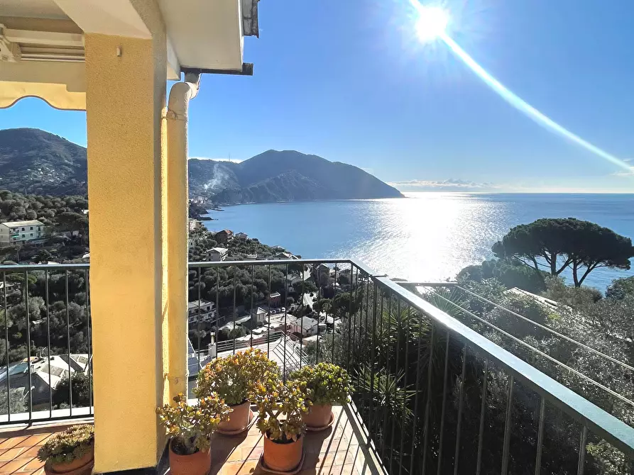 Immagine 15 di Casa indipendente in vendita  in VIA DEL CASTELLO 32 a Recco