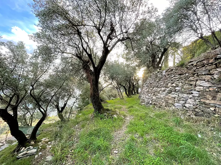 Immagine 14 di Terreno edificabile in vendita  in Via alla Pineta 2 a Recco