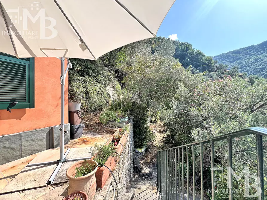 Immagine 3 di Casa indipendente in vendita  in Via Pietrafitta 1 a Avegno