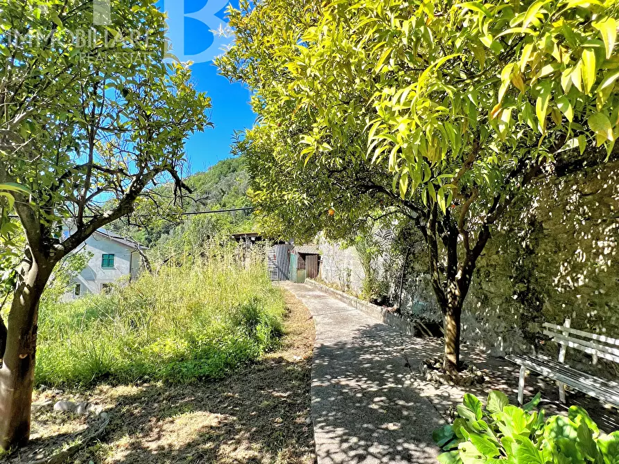 Immagine 17 di Casa indipendente in vendita  in Via del Piano 30 a Avegno
