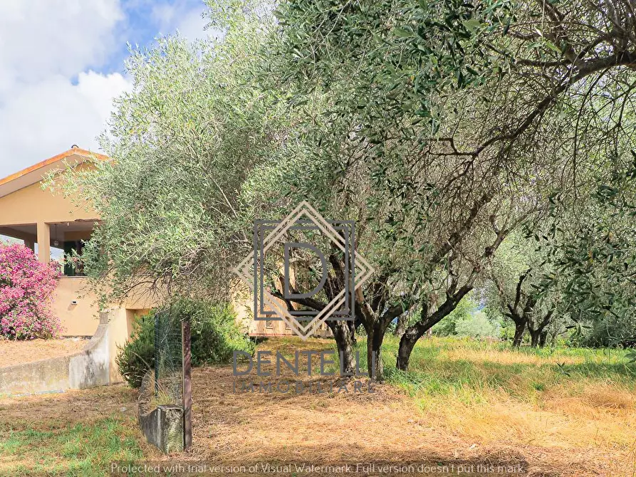 Immagine 27 di Quadrilocale in vendita  a Ameglia