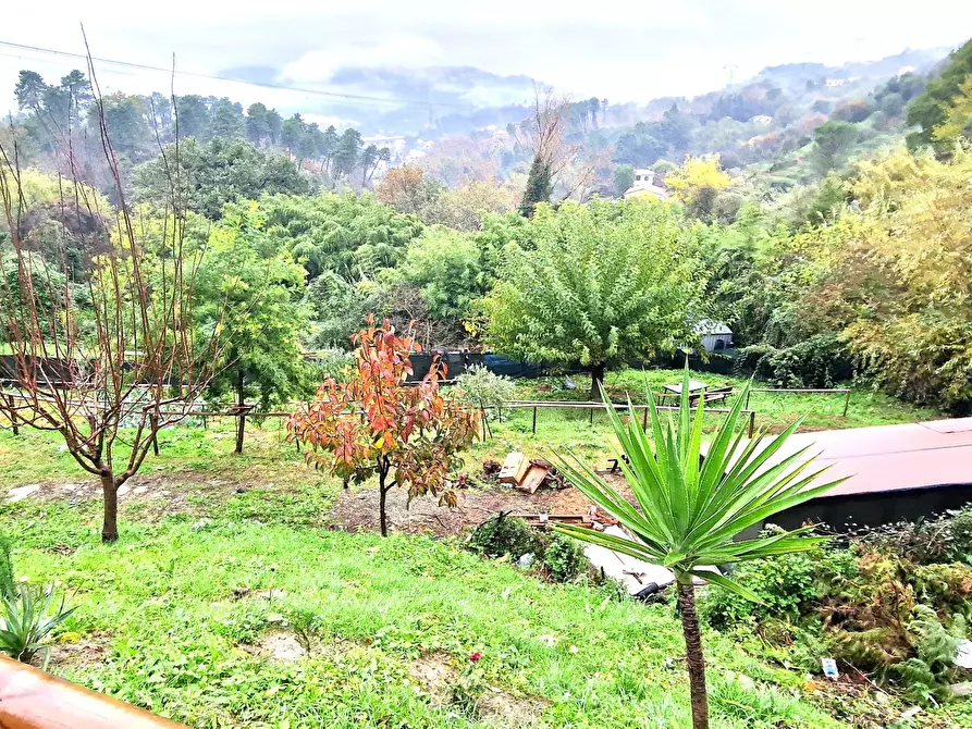 Immagine 3 di Casa bifamiliare in vendita  in Via Morucciola a Arcola