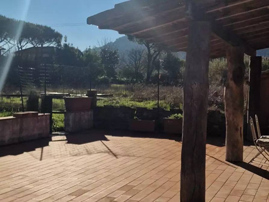 Immagine 4 di Trilocale in affitto  a Ameglia