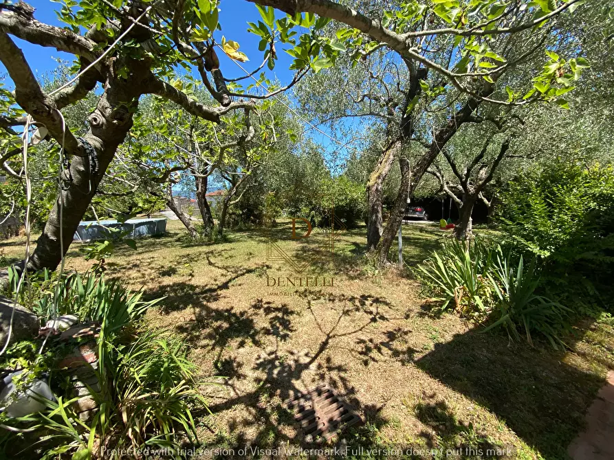 Immagine 4 di Casa bifamiliare in vendita  a Ameglia