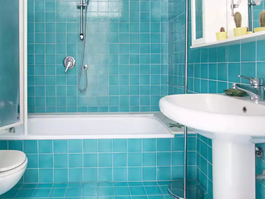 Immagine 20 di Appartamento in affitto  a Pietrasanta