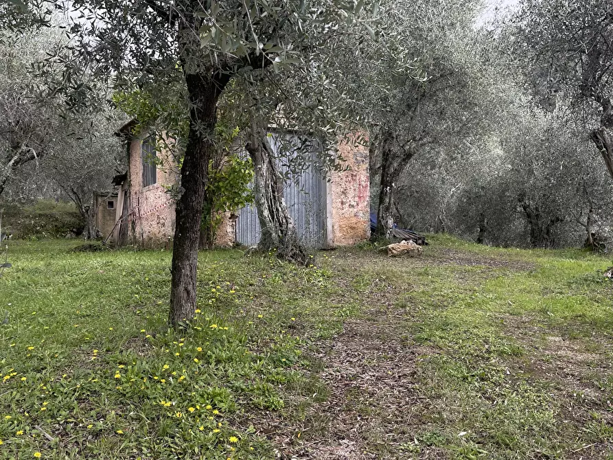 Immagine 3 di Laboratorio in vendita  a Pietrasanta