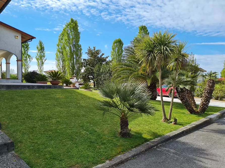 Immagine 21 di Villa in vendita  a Pietrasanta