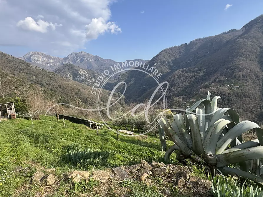 Immagine 8 di Casa indipendente in vendita  a Stazzema