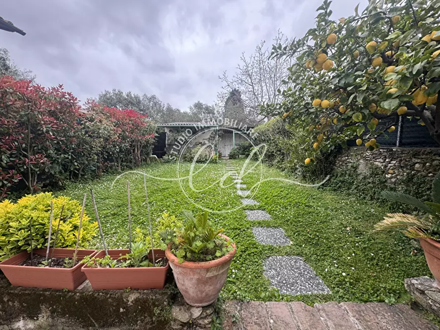 Immagine 80 di Terratetto in vendita  a Seravezza