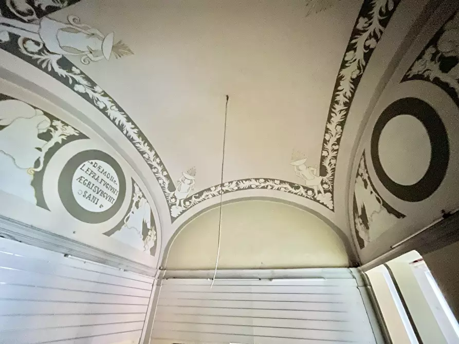 Immagine 10 di Locale commerciale in affitto  a Camaiore