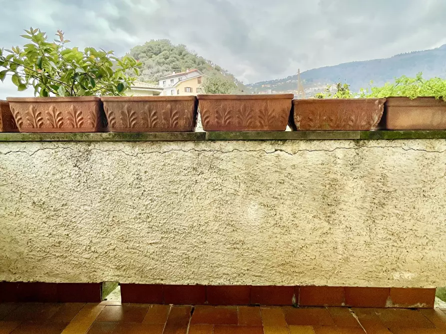 Immagine 26 di Casa indipendente in vendita  a Montignoso