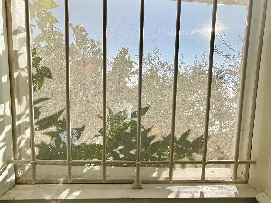 Immagine 40 di Baita in vendita  a Pietrasanta