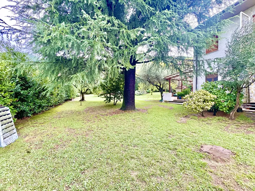 Immagine 4 di Casa indipendente in vendita  a Seravezza