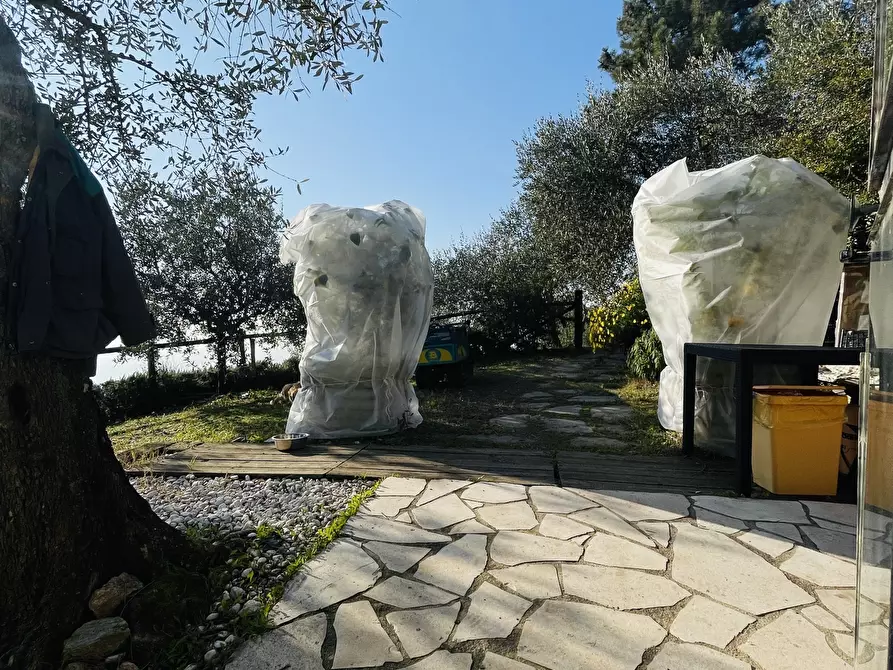 Immagine 42 di Baita in vendita  a Pietrasanta