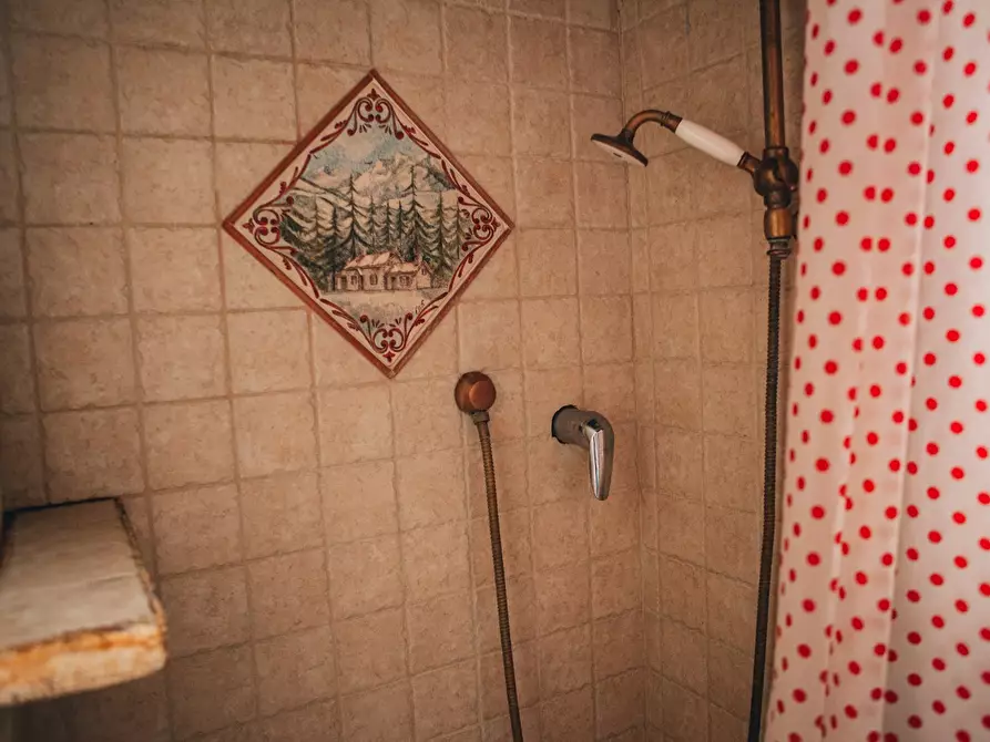 Immagine 16 di Rustico / casale in affitto  a Camaiore