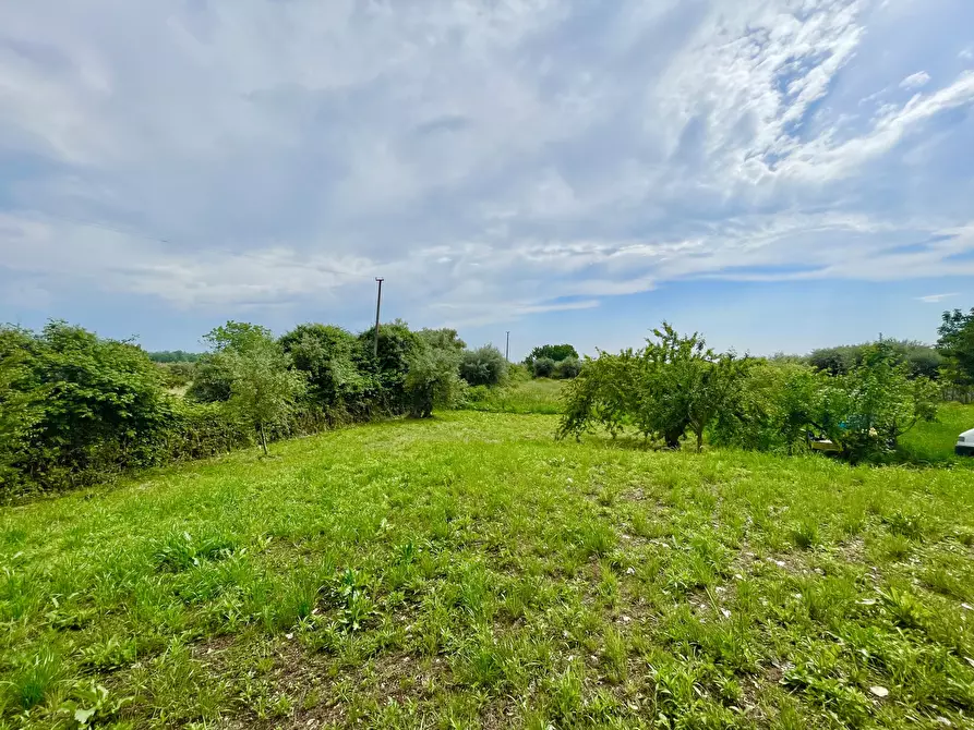 Immagine 6 di Casa indipendente in vendita  a Pietrasanta