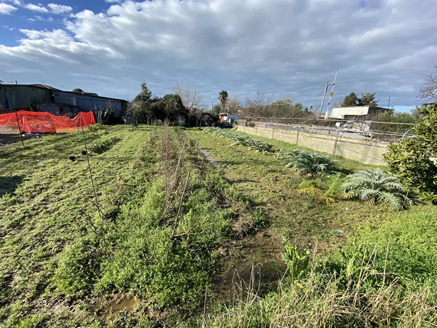 Immagine 2 di Terreno edificabile in vendita  a Pietrasanta