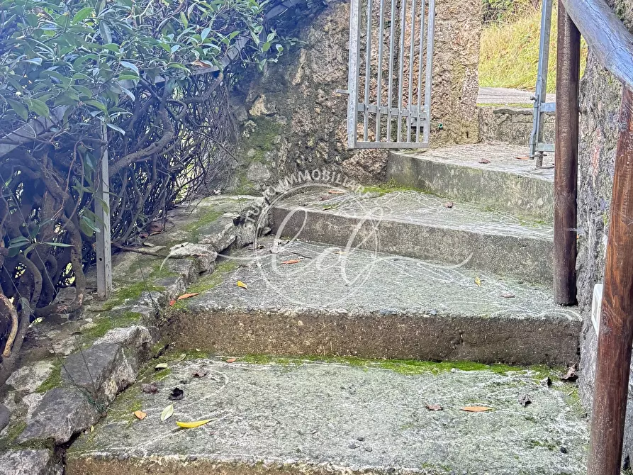 Immagine 127 di Casa indipendente in vendita  a Massarosa