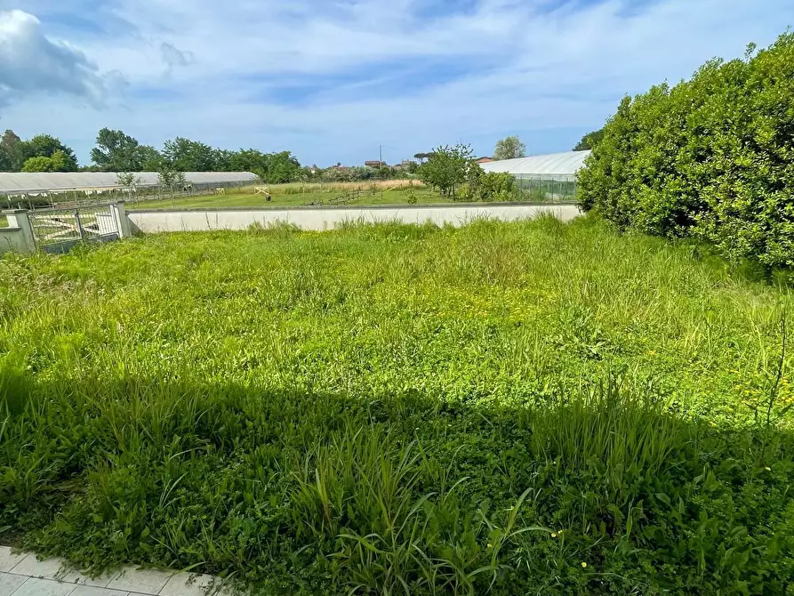 Immagine 15 di Villa in vendita  a Camaiore