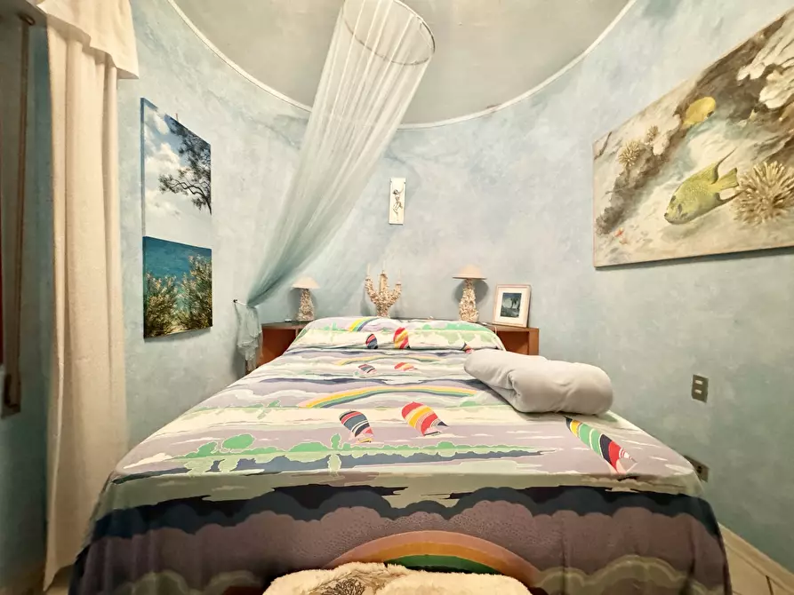 Immagine 27 di Quadrilocale in vendita  a Seravezza