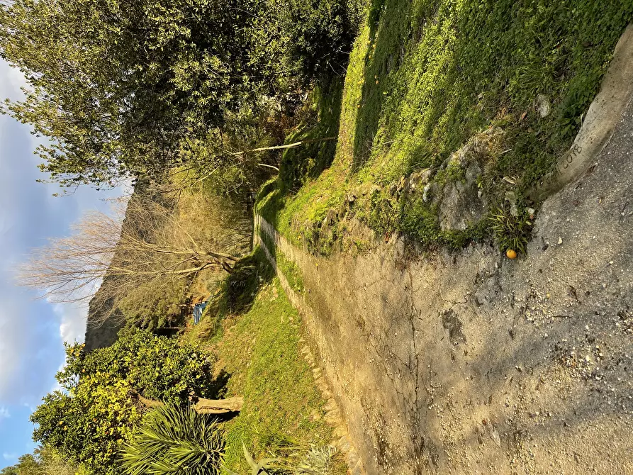Immagine 22 di Porzione di casa in vendita  a Pietrasanta