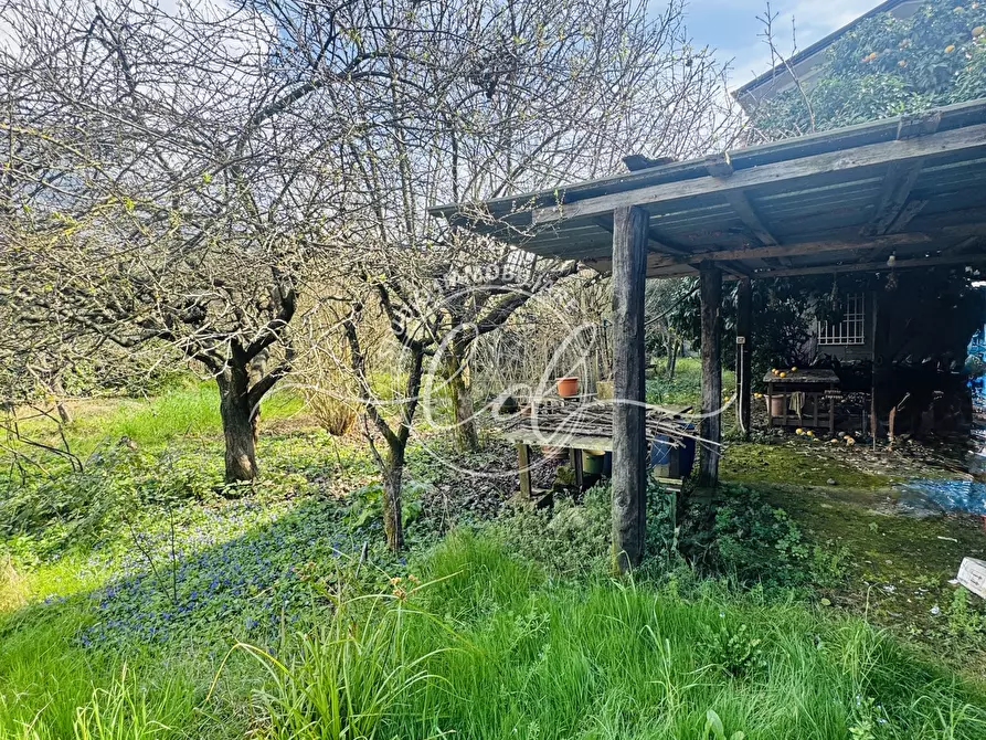 Immagine 25 di Porzione di casa in vendita  a Seravezza