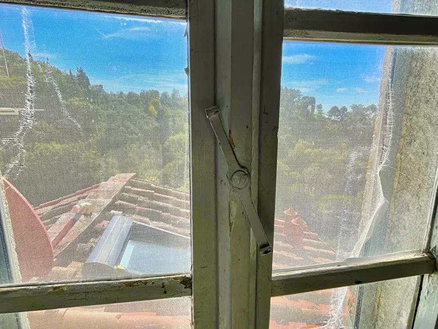 Immagine 17 di Porzione di casa in vendita  a Camaiore