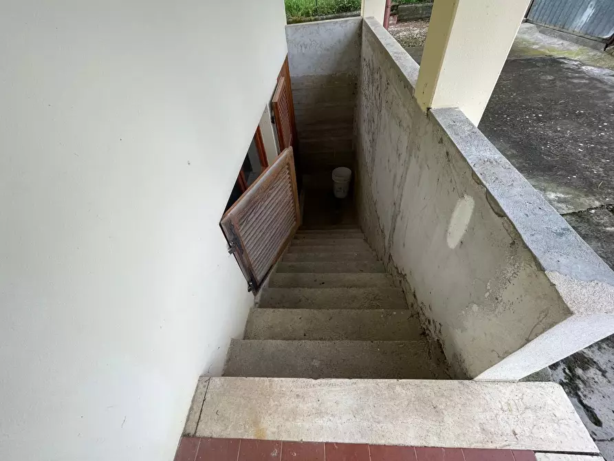 Immagine 40 di Casa indipendente in vendita  a Pietrasanta