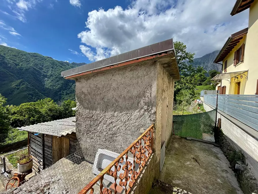 Immagine 25 di Terratetto in vendita  a Seravezza