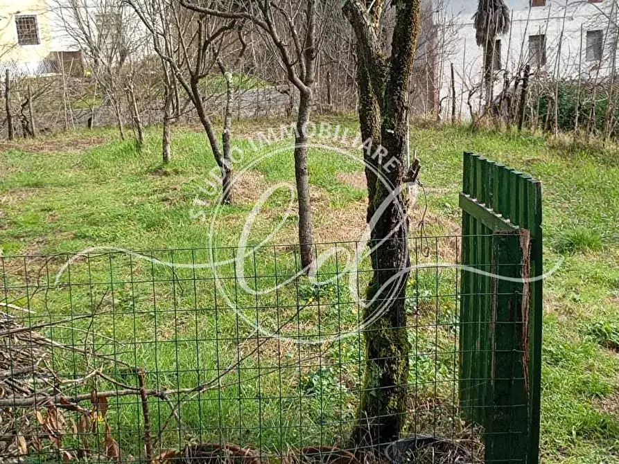 Immagine 31 di Casa semindipendente in vendita  a Camaiore