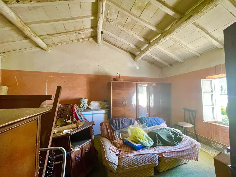 Immagine 27 di Rustico / casale in vendita  a Camaiore
