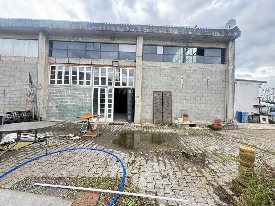Immagine 12 di Magazzino in affitto  a Pietrasanta