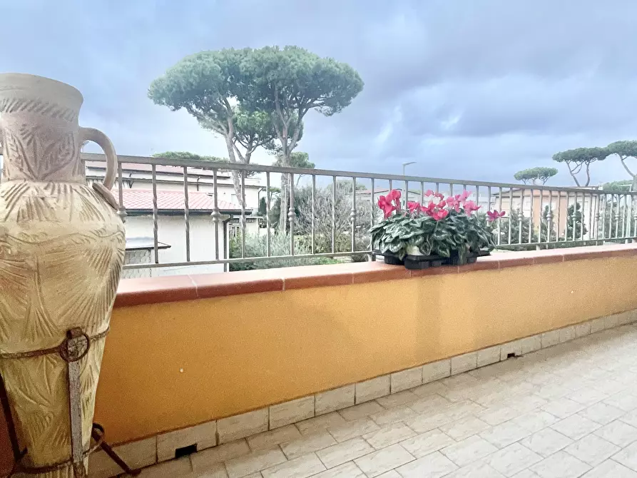 Immagine 10 di Quadrilocale in vendita  a Camaiore