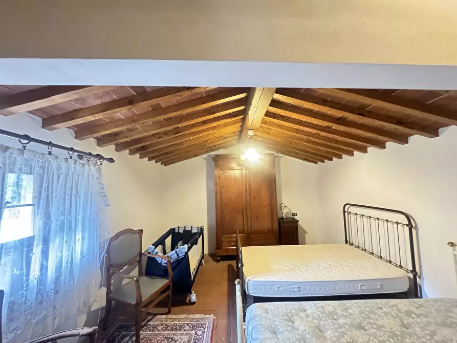 Immagine 35 di Terratetto in vendita  a Camaiore