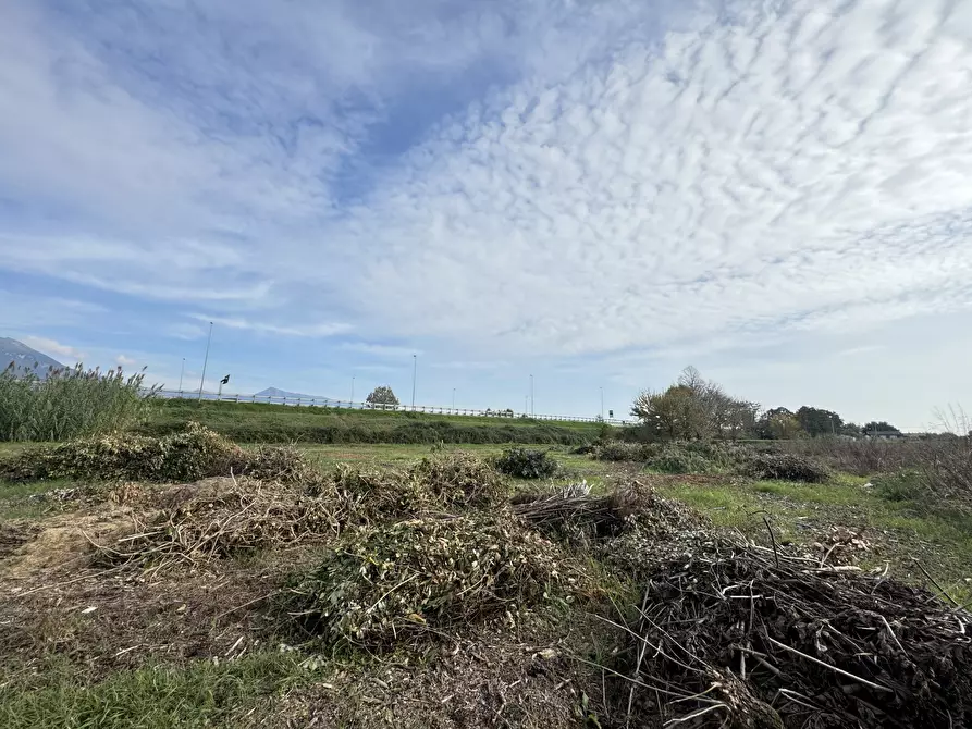 Immagine 76 di Rustico / casale in vendita  a Pietrasanta